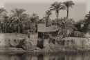 Nile #3